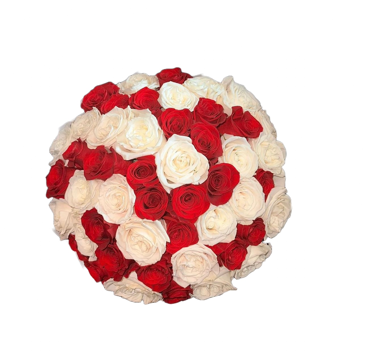Red & White