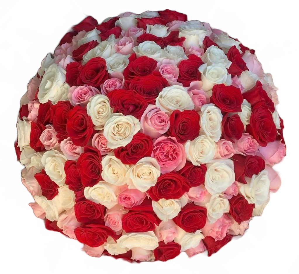 Pink, Red & White