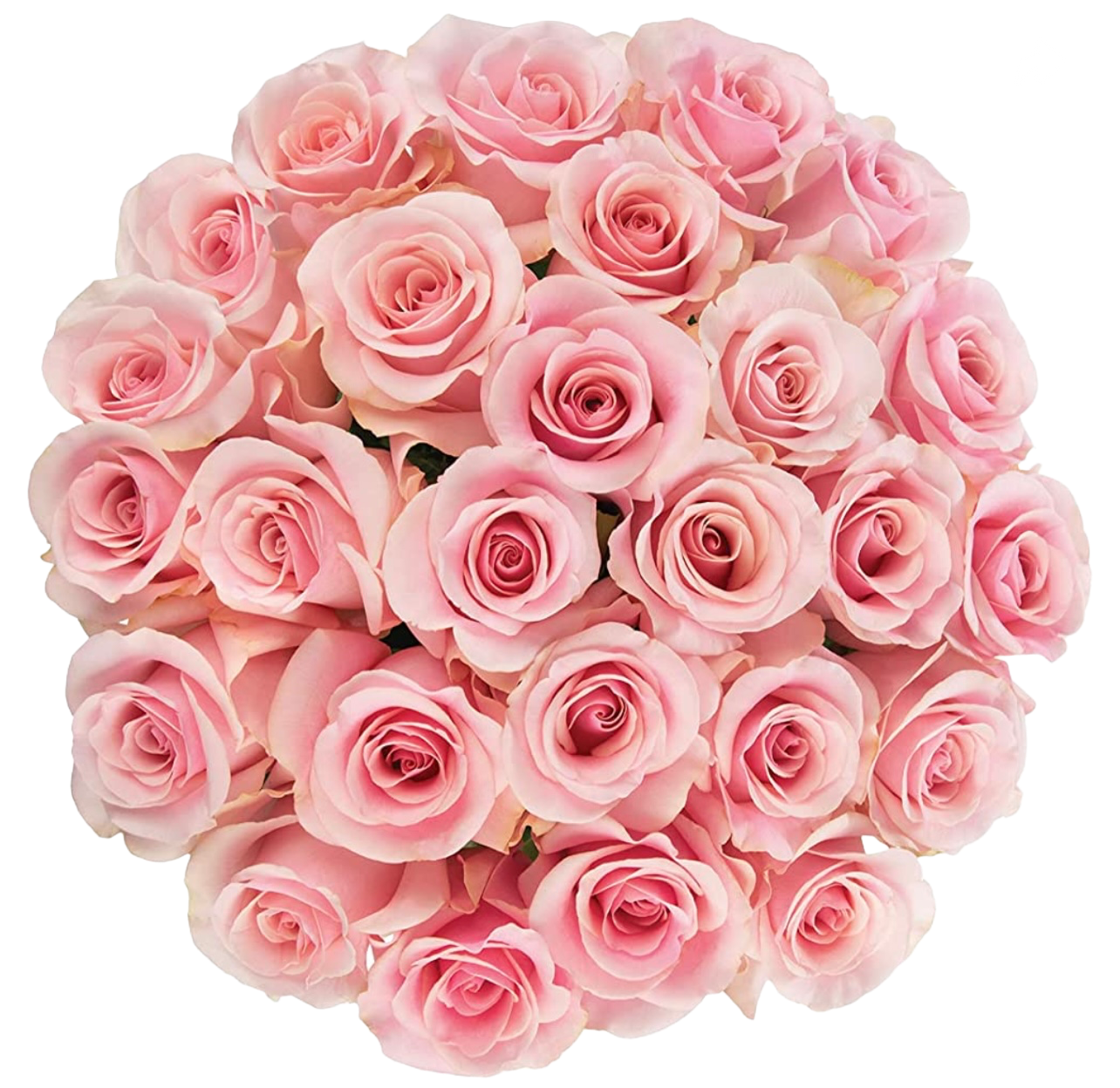 Baby Pink