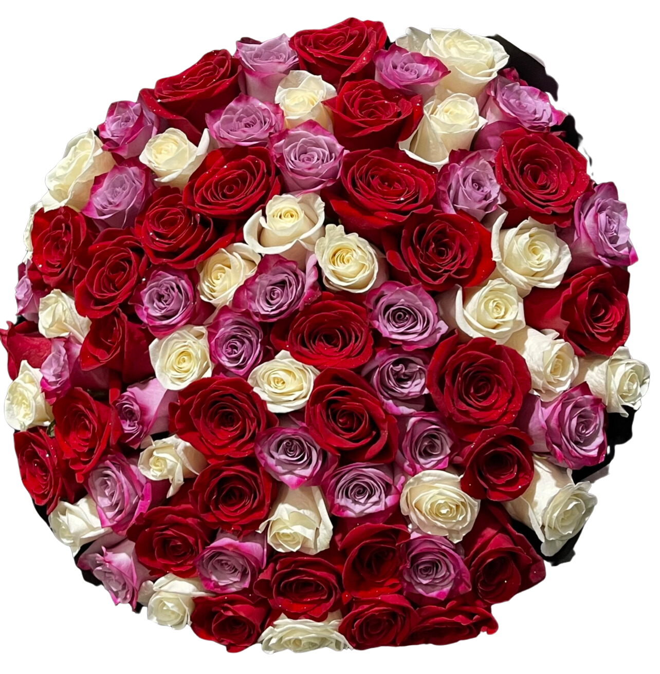 Purple, Red & White