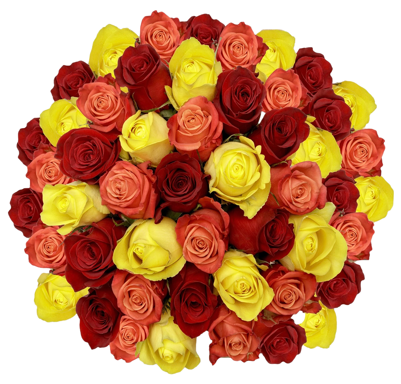 Orange, Red & Yellow