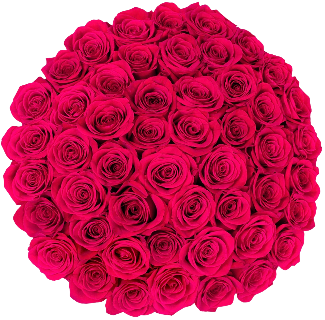 Hot Pink